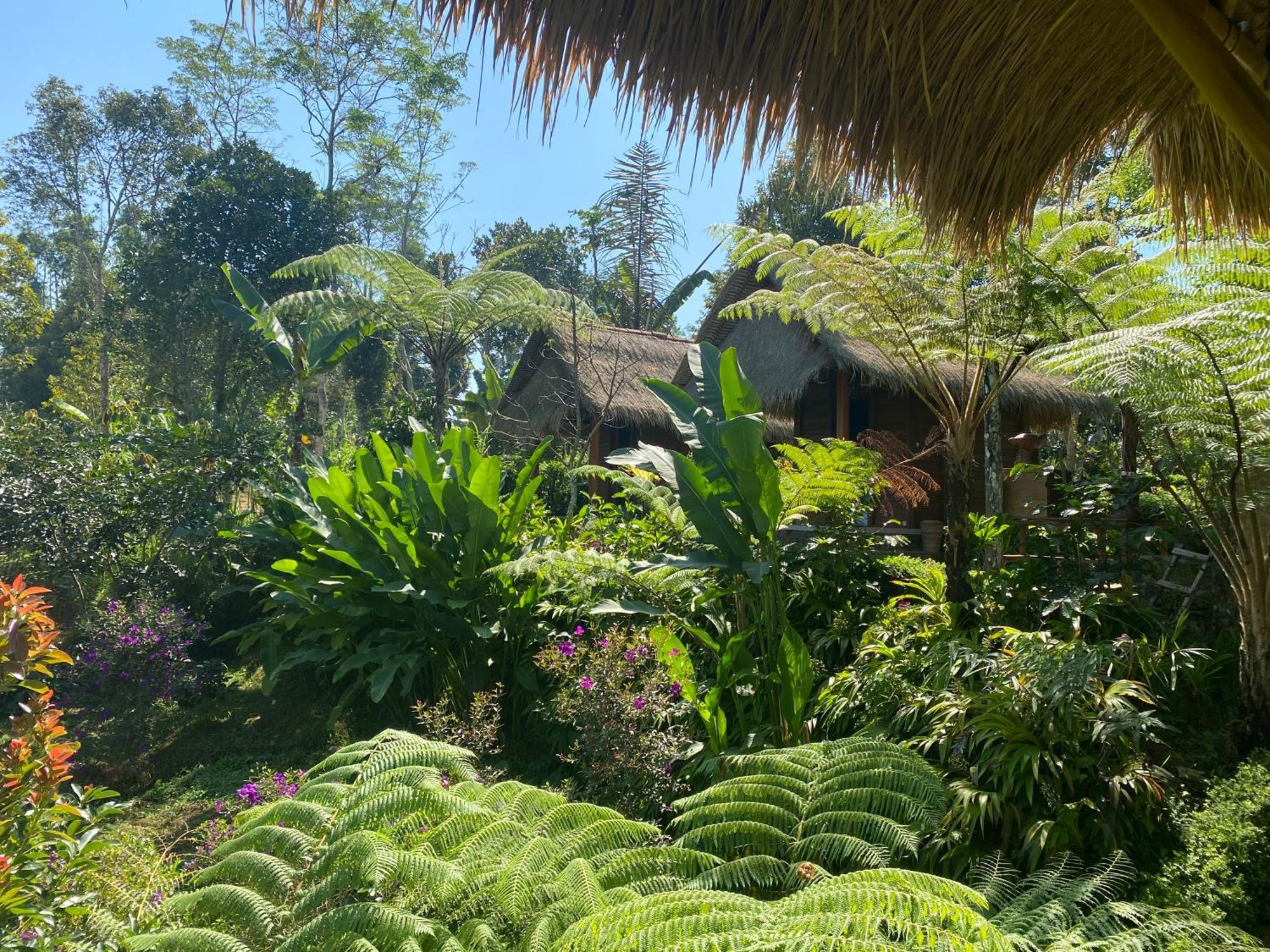 Lembah Cinta Mayungan Baturiti Exterior foto